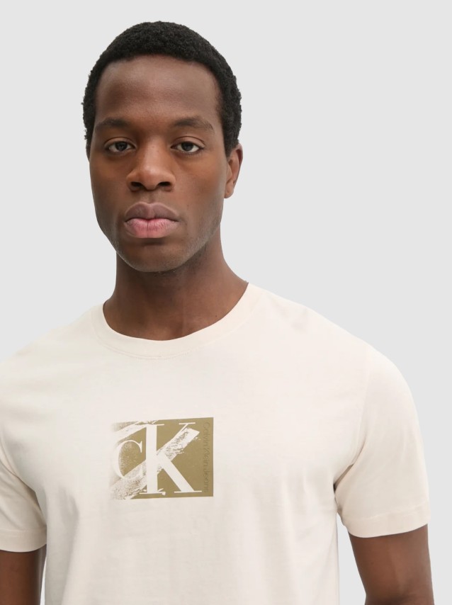 T-Shirt Male Calvin Klein
