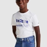 Camiseta Masculino Tommy Hilfiger- Kids