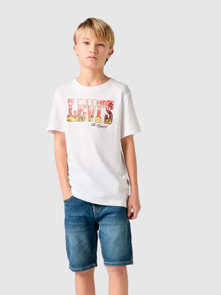 Shorts Male Levis