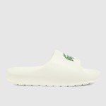 Chaussons Masculin Lacoste