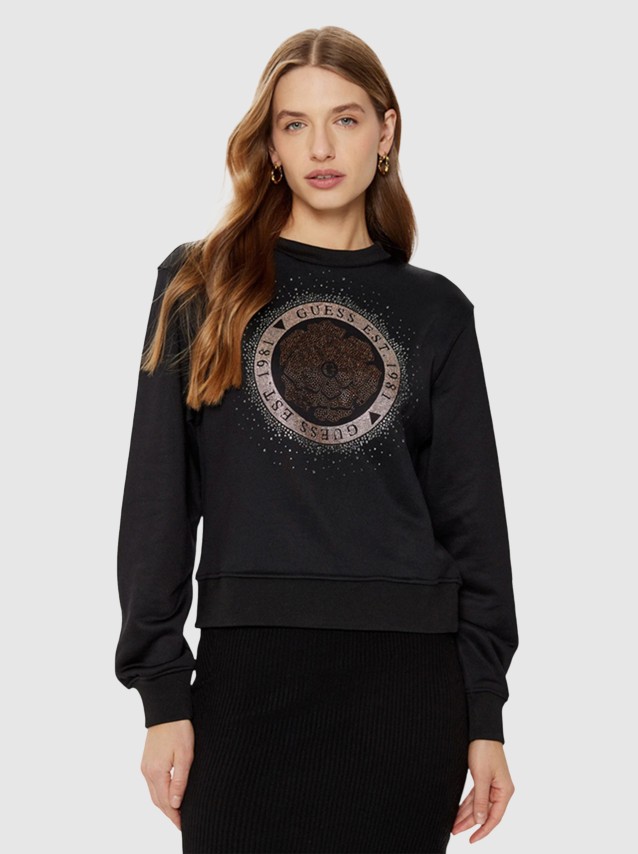 Pull-Over Fminin Guess