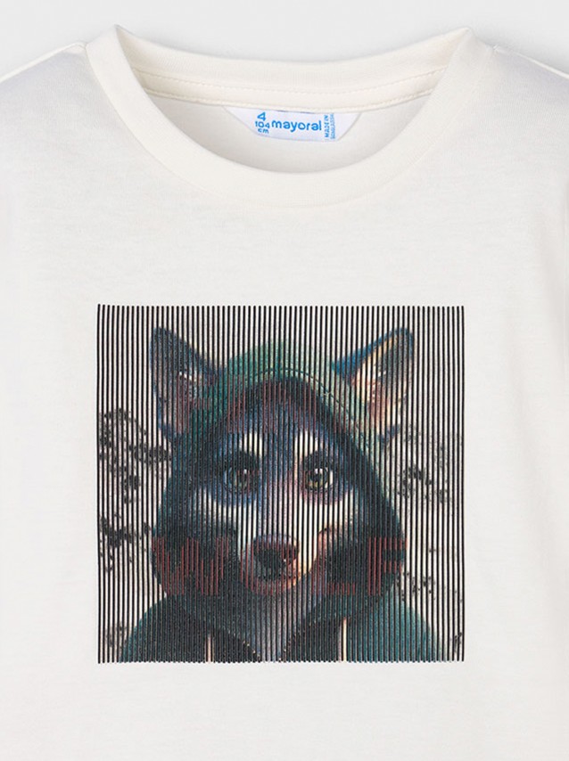 Pulls Masculin Mayoral