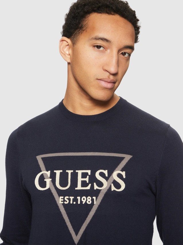 Jumper Male Guess