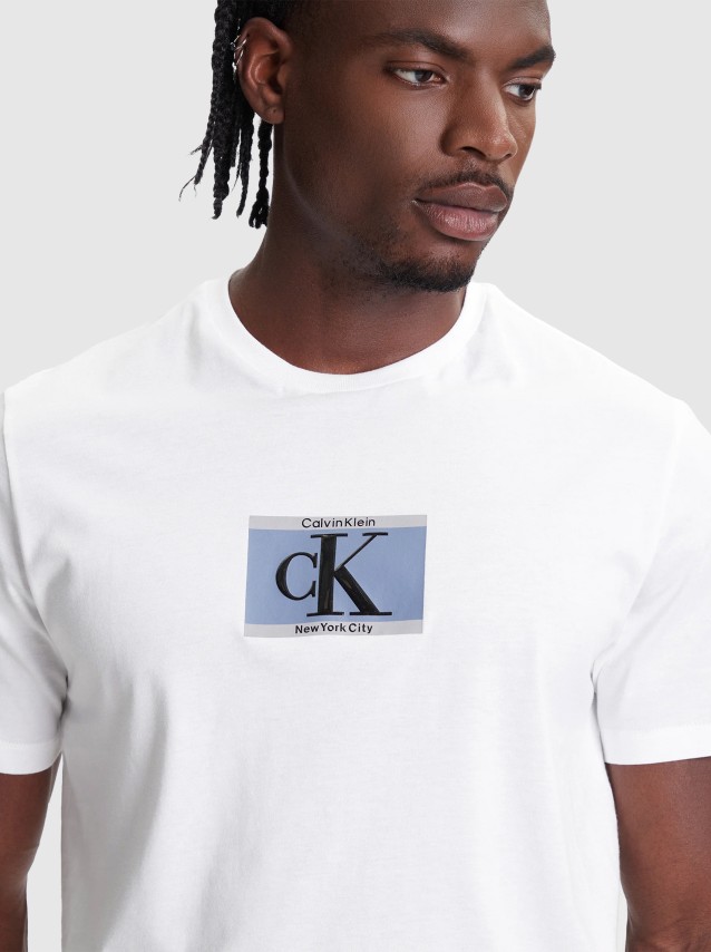 Camiseta Masculino Calvin Klein