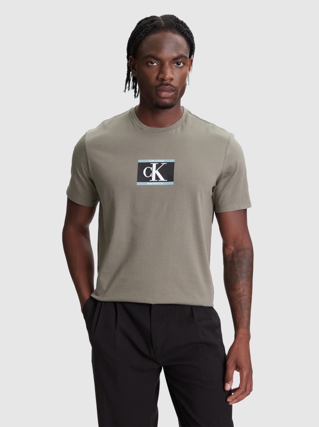 T-Shirt Male Calvin Klein
