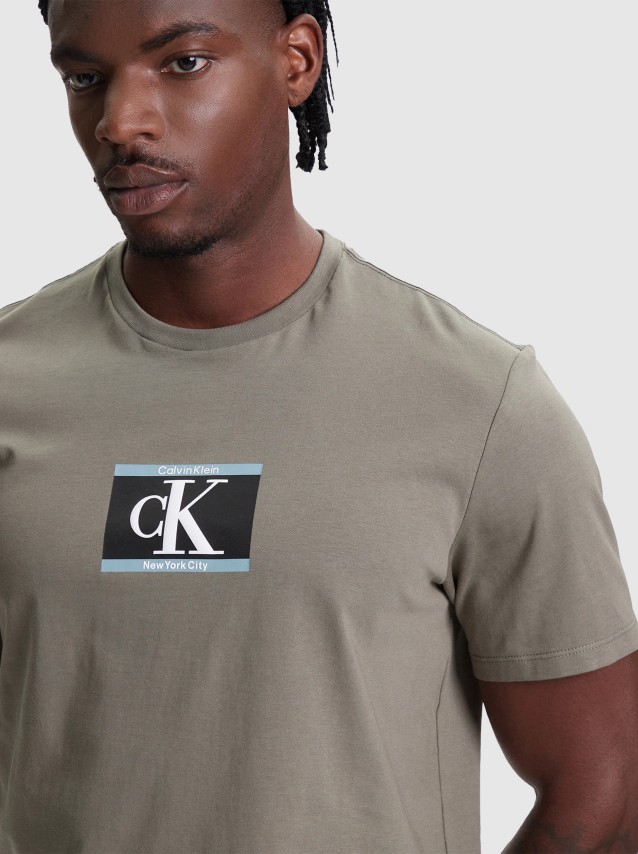 Camiseta Masculino Calvin Klein