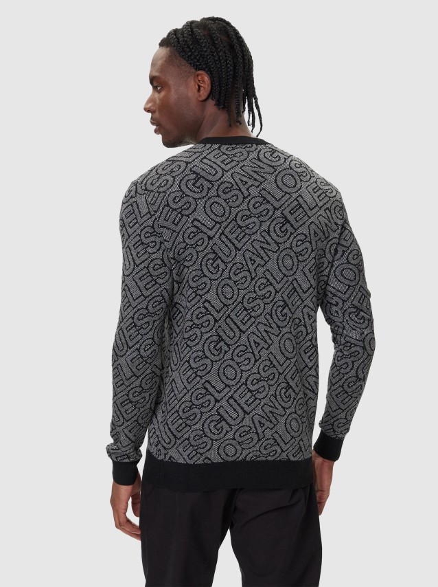 Male Guess
