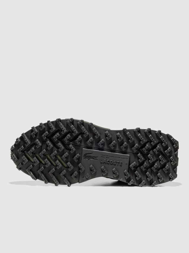 Chaussures de Sport Masculin Lacoste