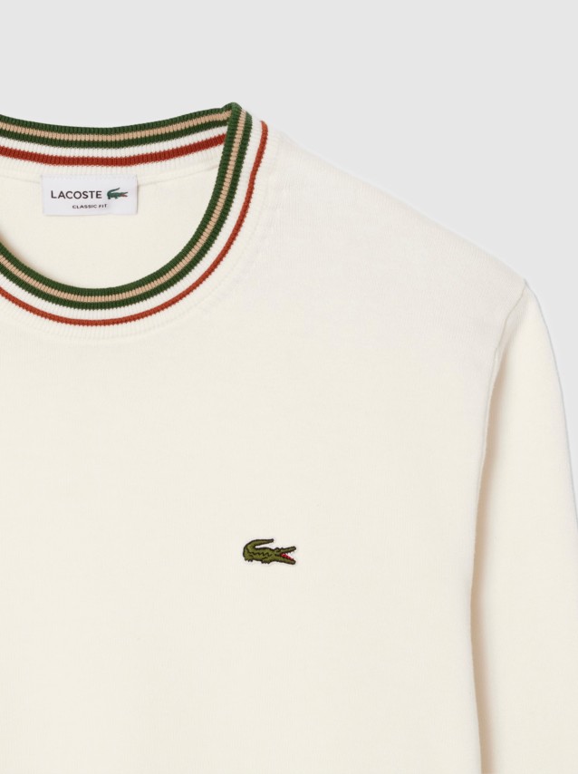 Masculino Lacoste
