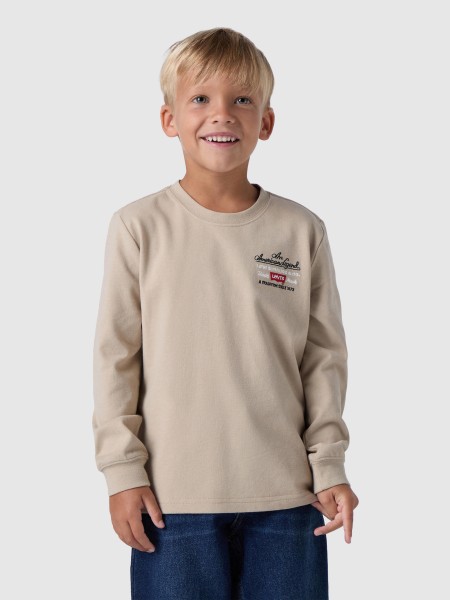 Pulls Masculin Levis