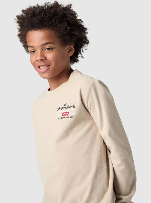 Pulls Masculin Levis