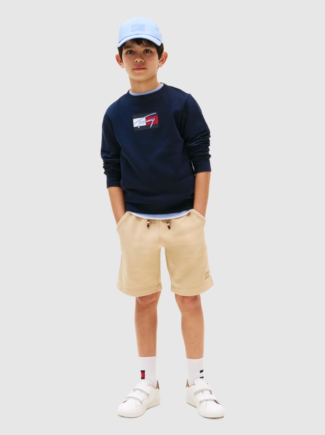 Jumper Male Tommy Hilfiger- Kids