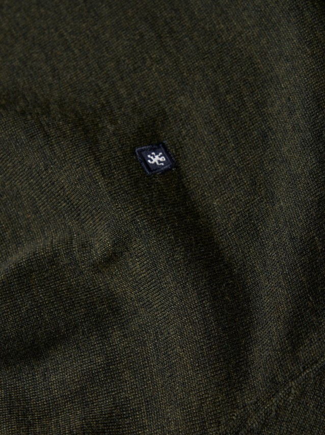 Male Lion Of Porches