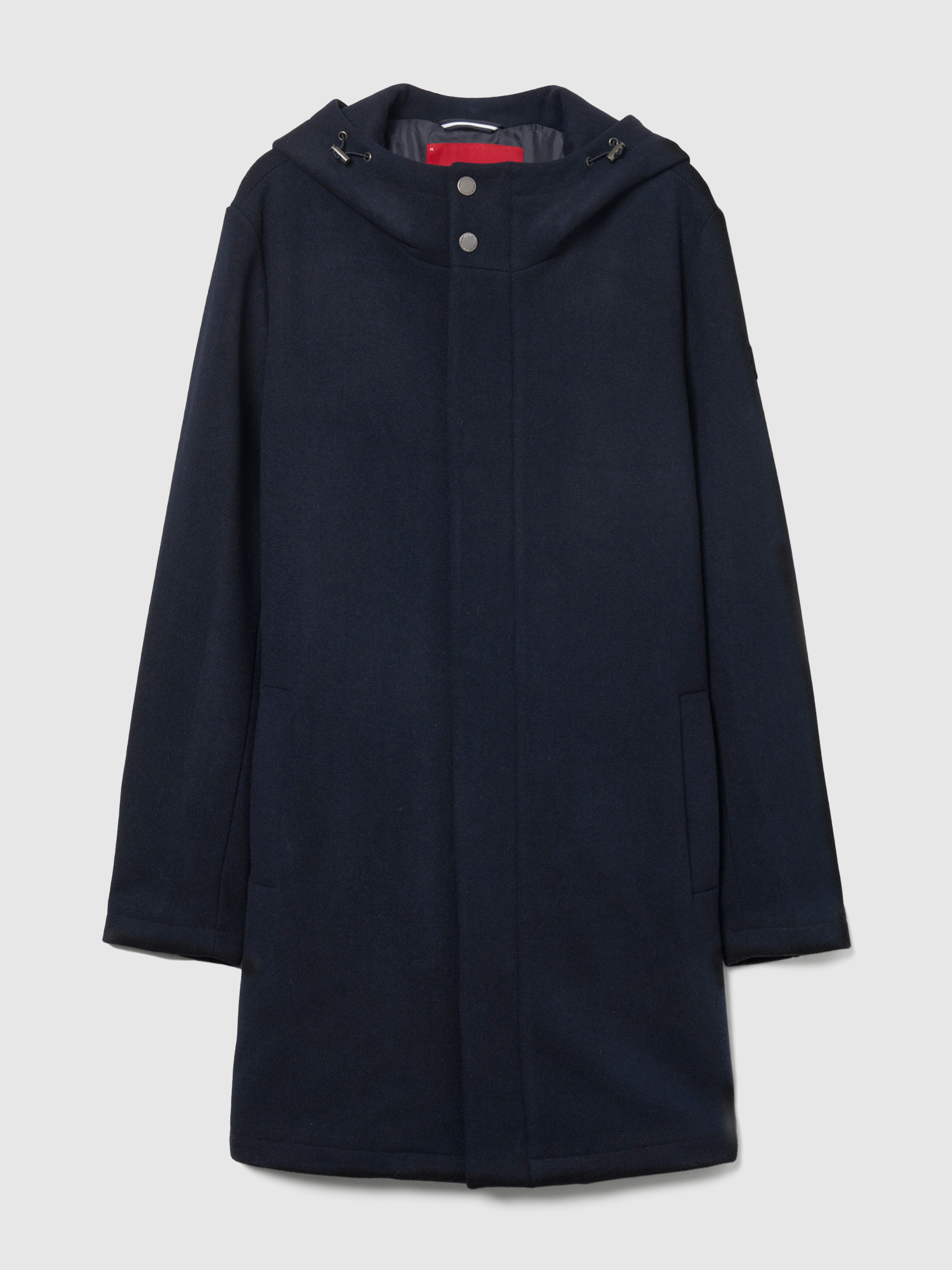 Masculino Lion Of Porches