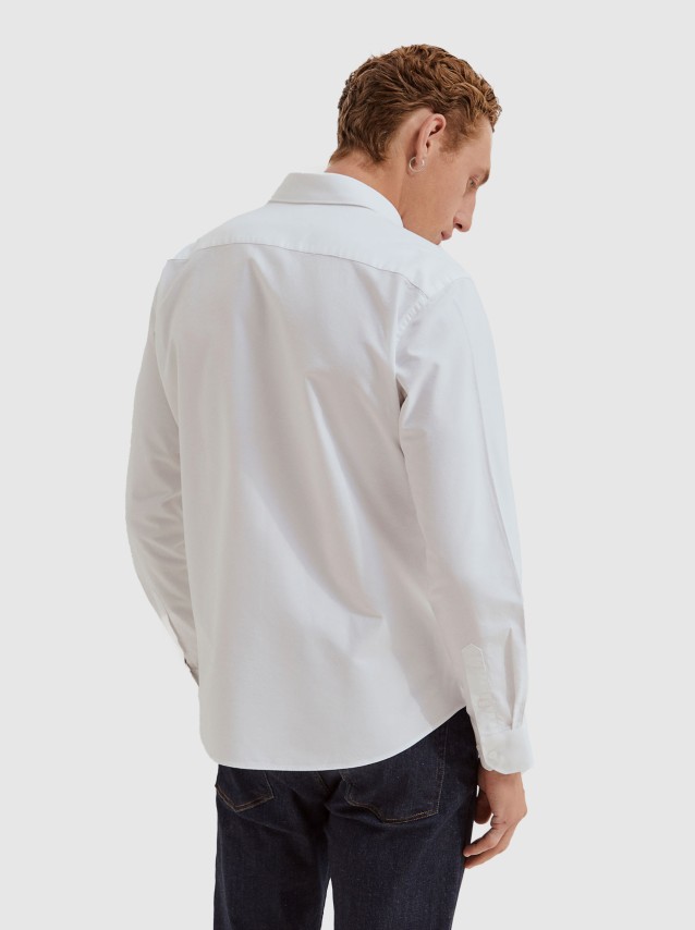 Shirts Male Lion Of Porches