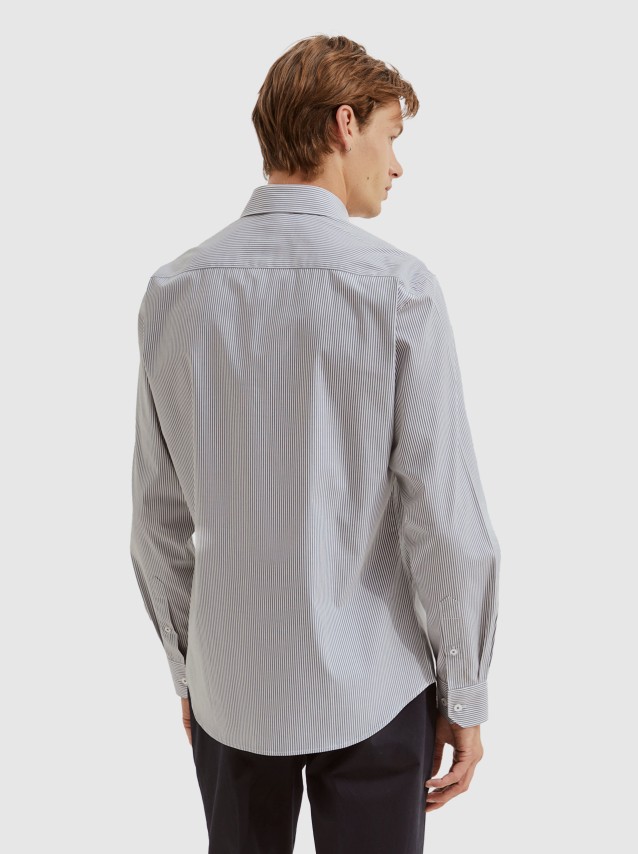 Shirts Male Lion Of Porches