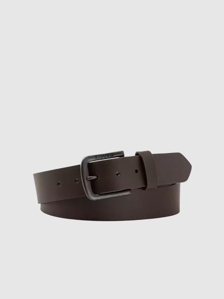 Belts Male Levis