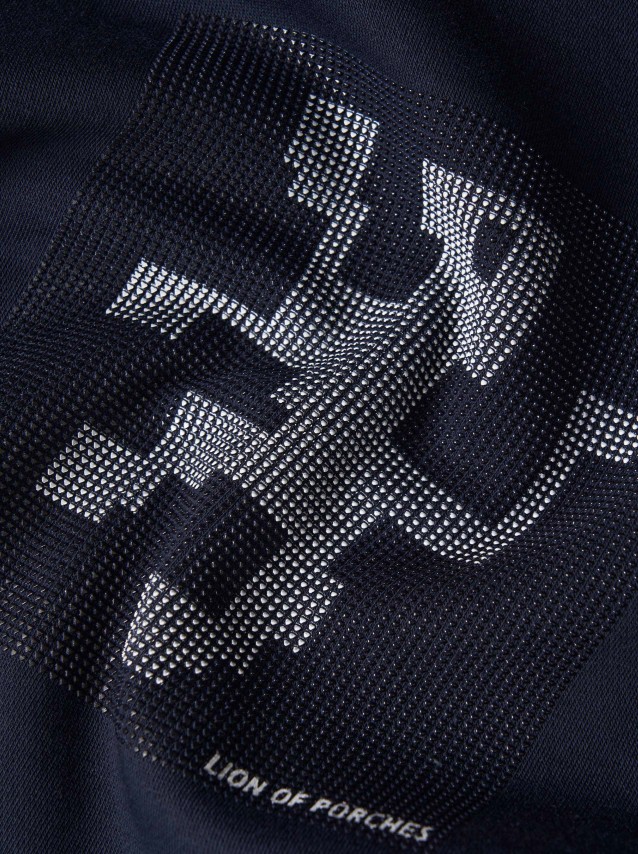 Jumper Male Lion Of Porches