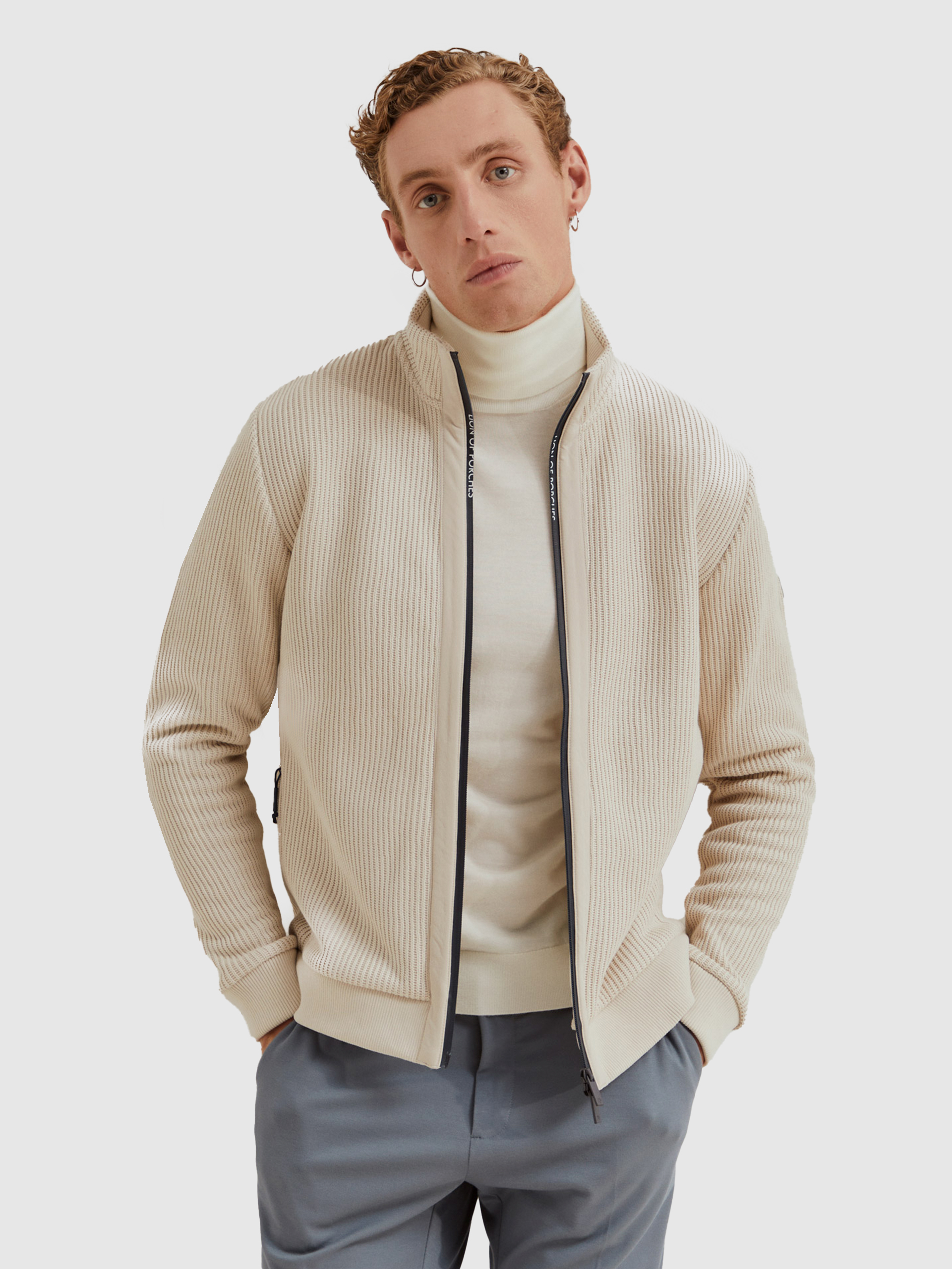 Masculino Lion Of Porches