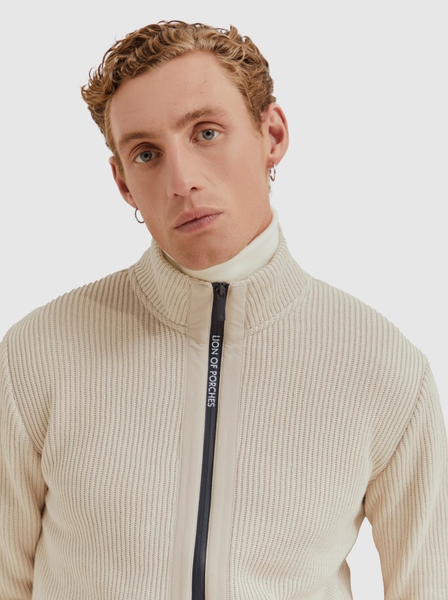 Male Lion Of Porches