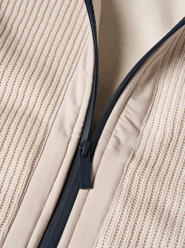 Male Lion Of Porches