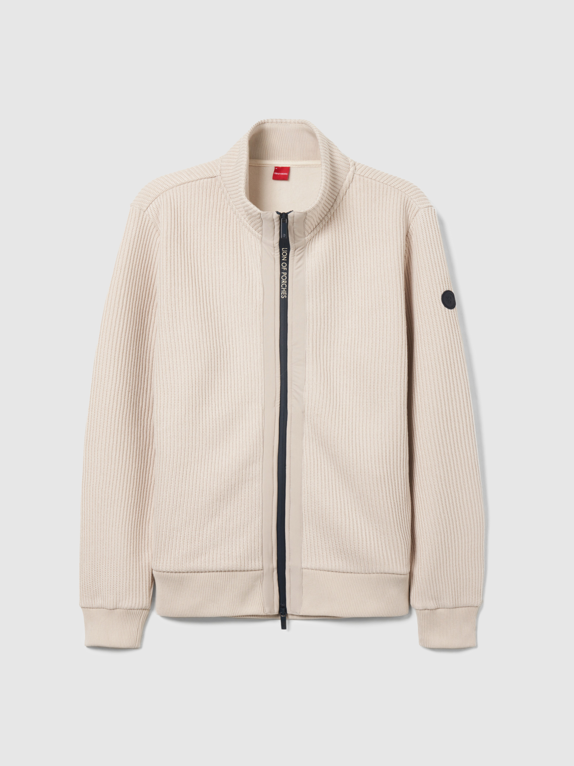 Masculino Lion Of Porches