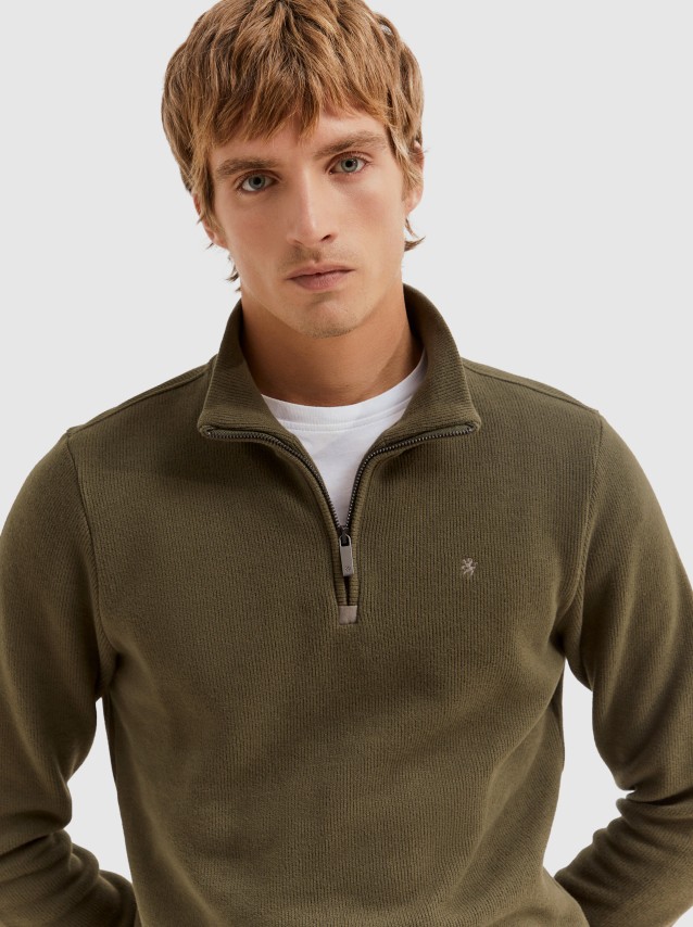 Male Lion Of Porches