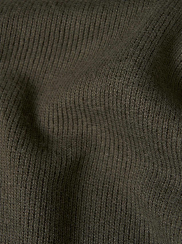 Male Lion Of Porches