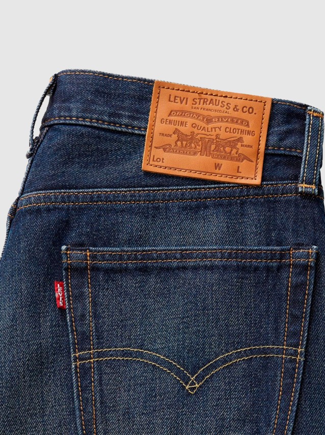 Trousers Male Levis