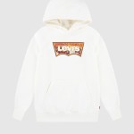 Jumper Masculin Levis