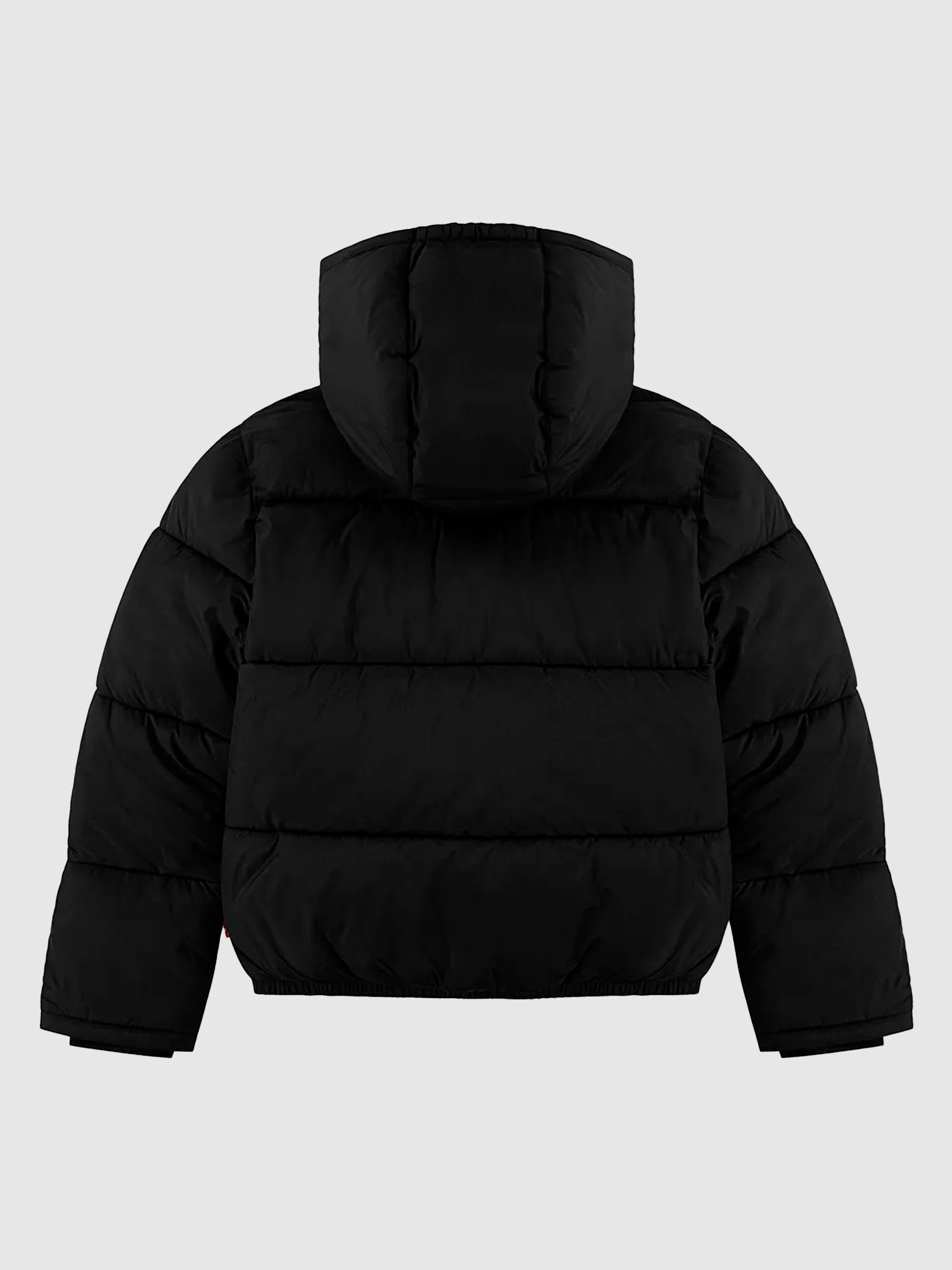 Chaqueta Masculino Levis