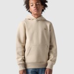 Jumper Masculin Levis