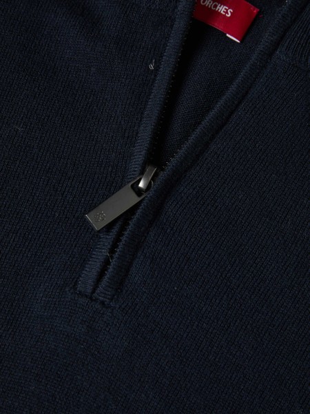 Male Lion Of Porches