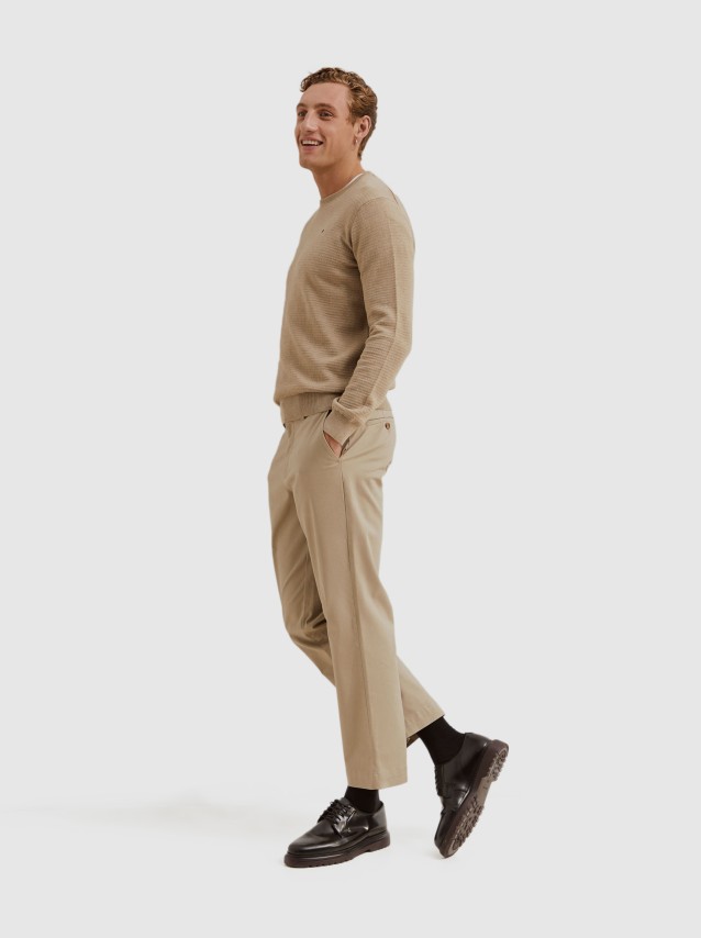 Male Lion Of Porches