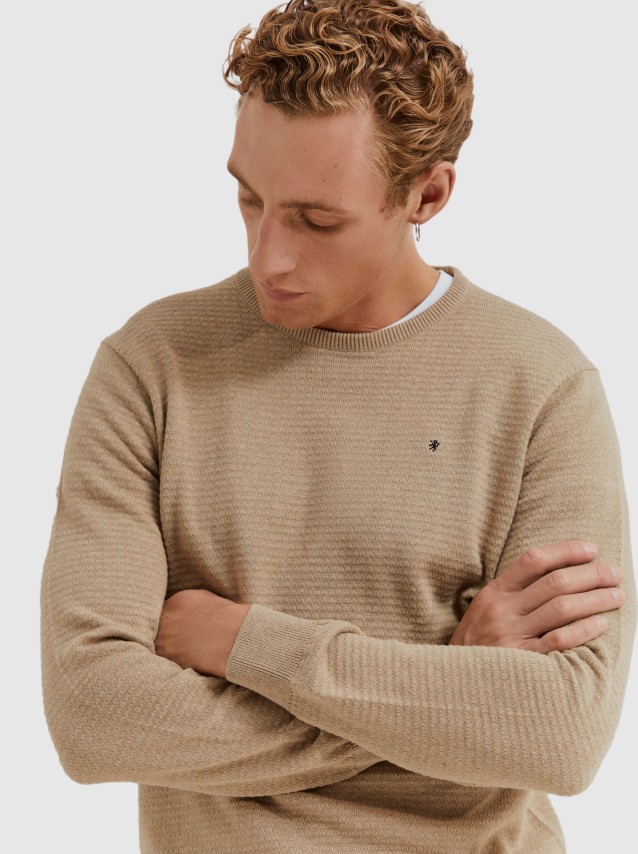 Male Lion Of Porches