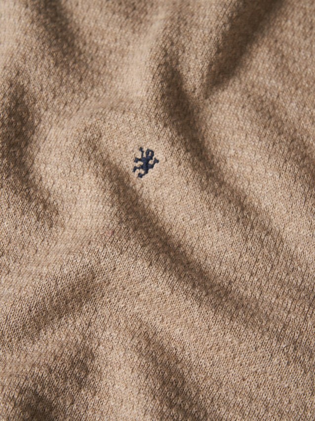 Male Lion Of Porches