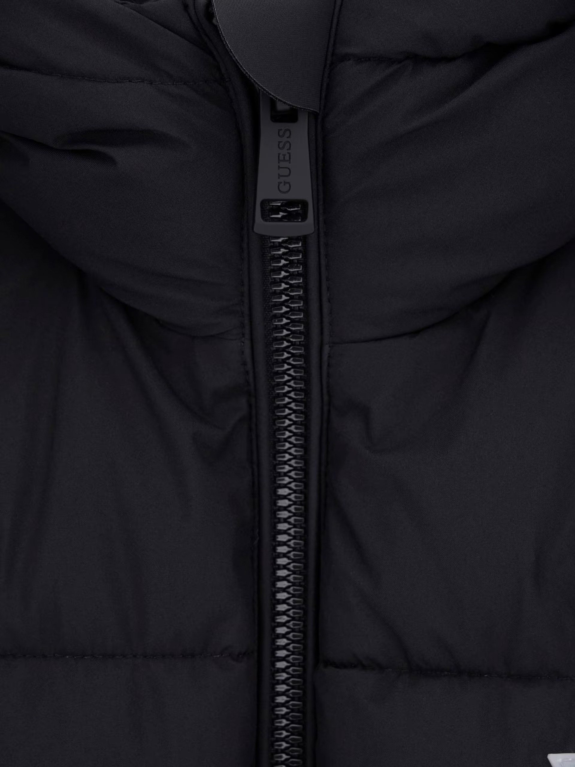 Chaqueta Femenino Guess