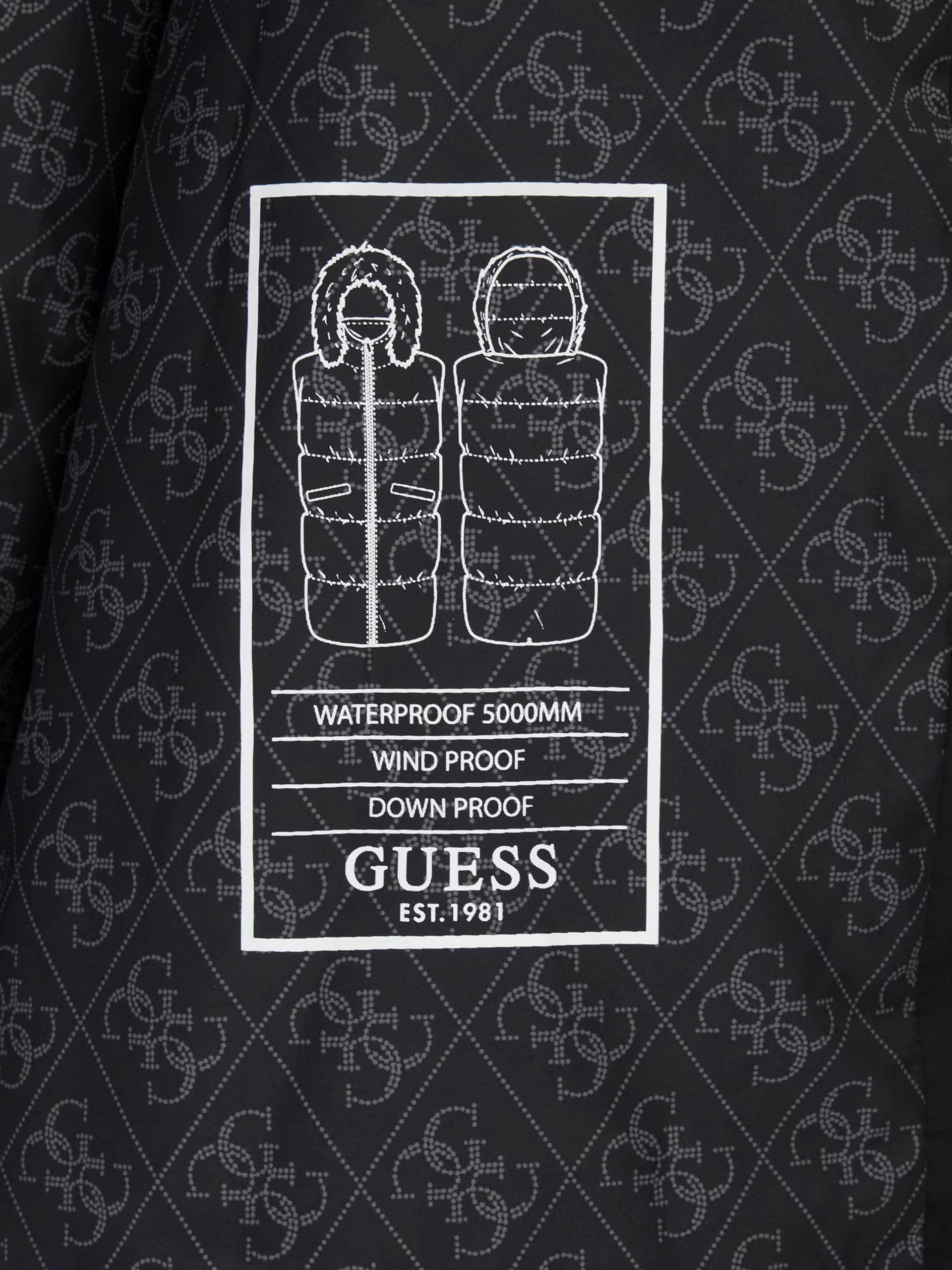 Chaqueta Femenino Guess