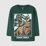 Pulls Masculin Name It