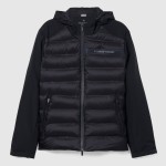 Chaqueta Masculino Lion Of Porches