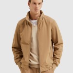 Masculino Lion Of Porches