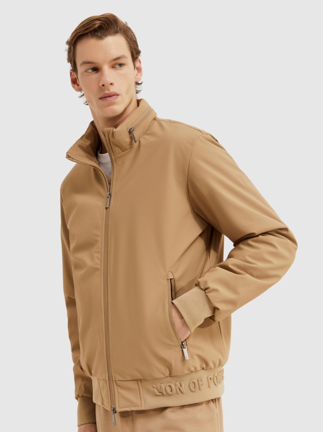 Masculino Lion Of Porches