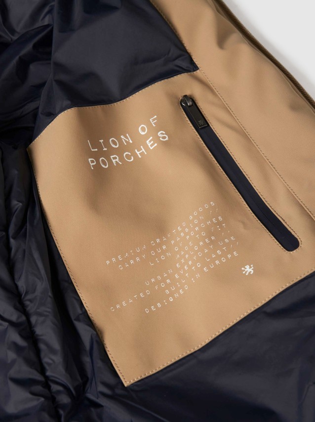 Masculino Lion Of Porches