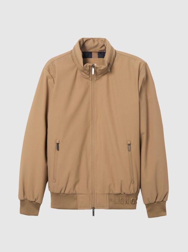 Masculino Lion Of Porches