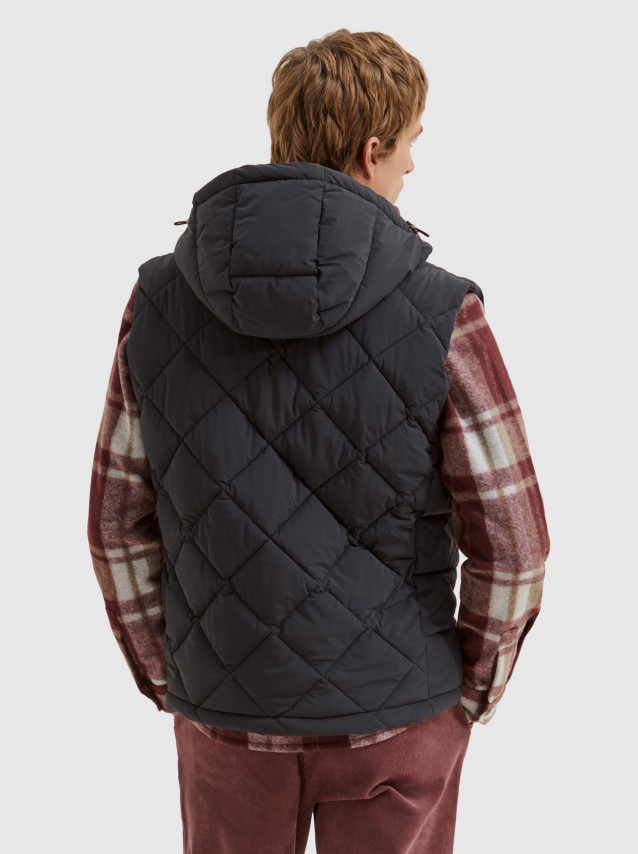 Veste Masculin Lion Of Porches