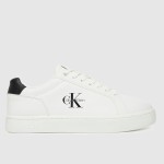 Trainers Male Calvin Klein Footwear