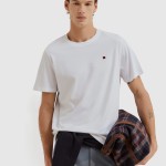 T-Shirt Masculin Lion Of Porches