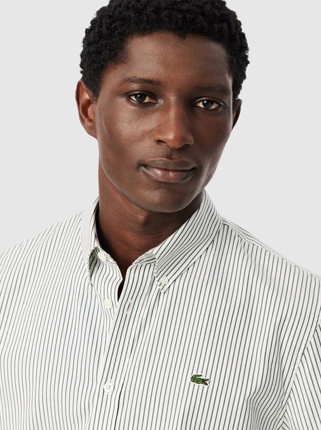 Camisa Homem Regular Fit Striped Cotton Pinpoint Shirt Lacoste
