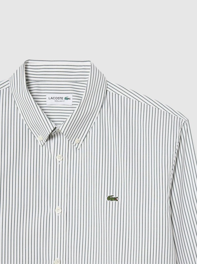 Camisa Homem Regular Fit Striped Cotton Pinpoint Shirt Lacoste