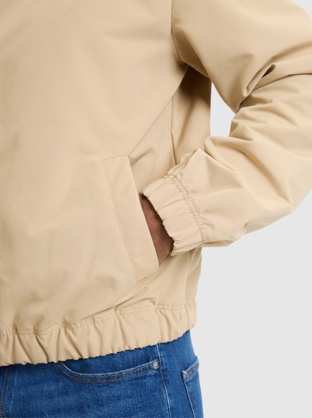 Masculino Tommy Hilfiger